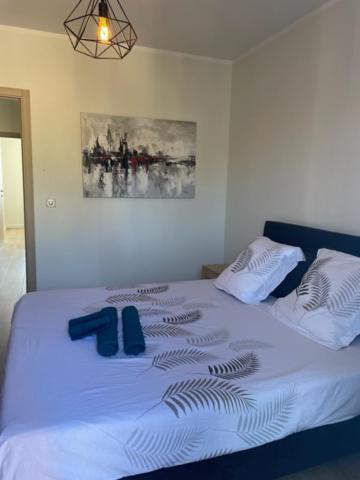 Superbe Appartement En Centre Ville 维琪奥港 外观 照片
